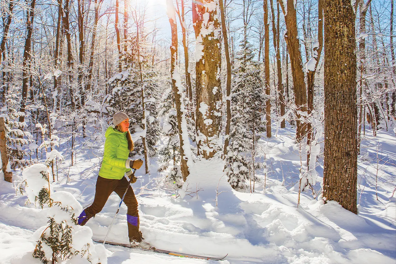 Cross Country Ski On Property 