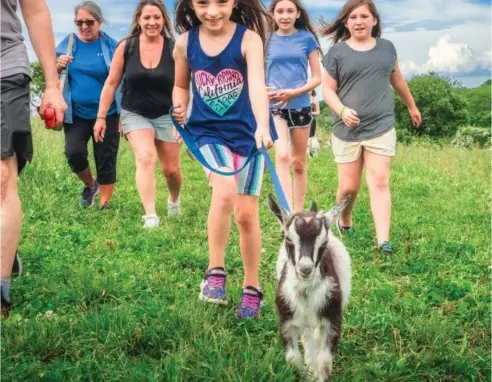 Goat Hikes At Simmons Farm