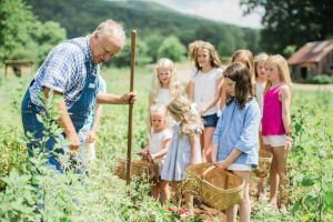 Blackberry Farm Foraging