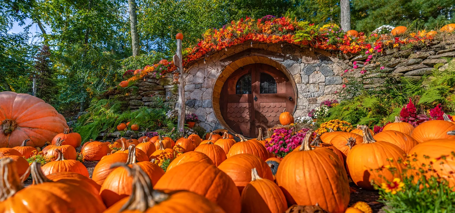 Hobbit House Pumpkin Patch at The Preserve Sporting Club & Resort