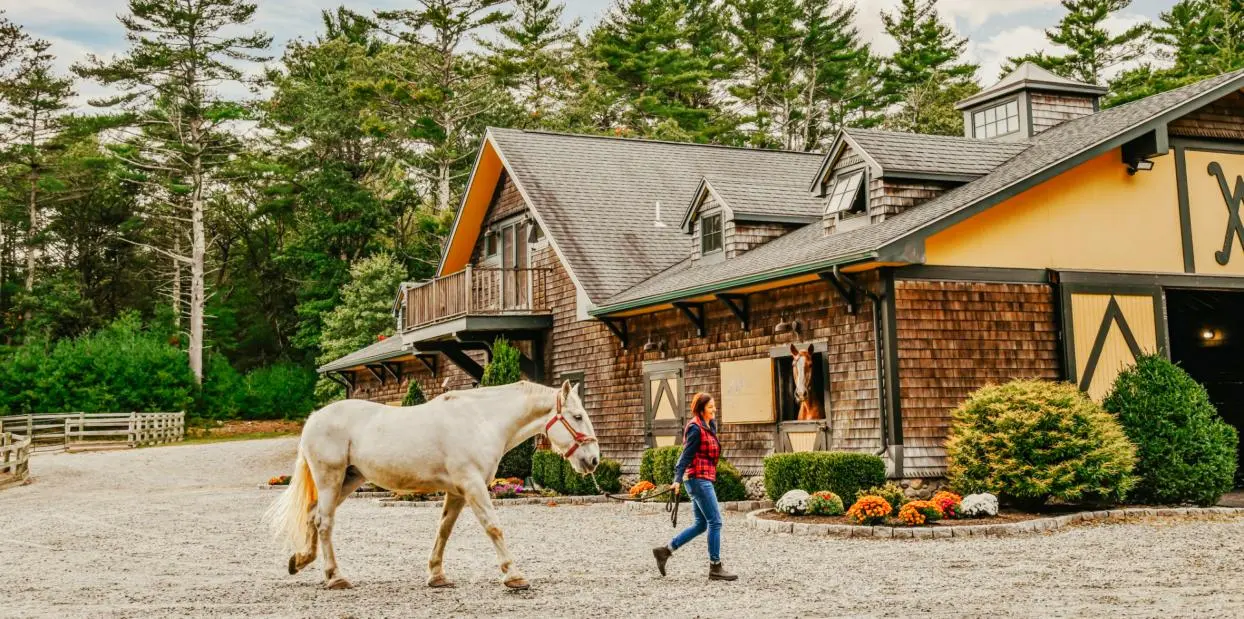 Indulge in a luxurious Christmas at RI's finest restaurants, including The Preserve's acclaimed Double Barrel Steak, for a festive gourmet experience.