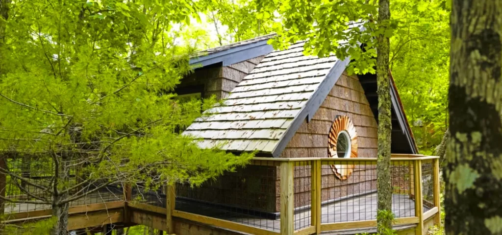 A charming treetop spa cabin at The Preserve, nestled among lush greenery.